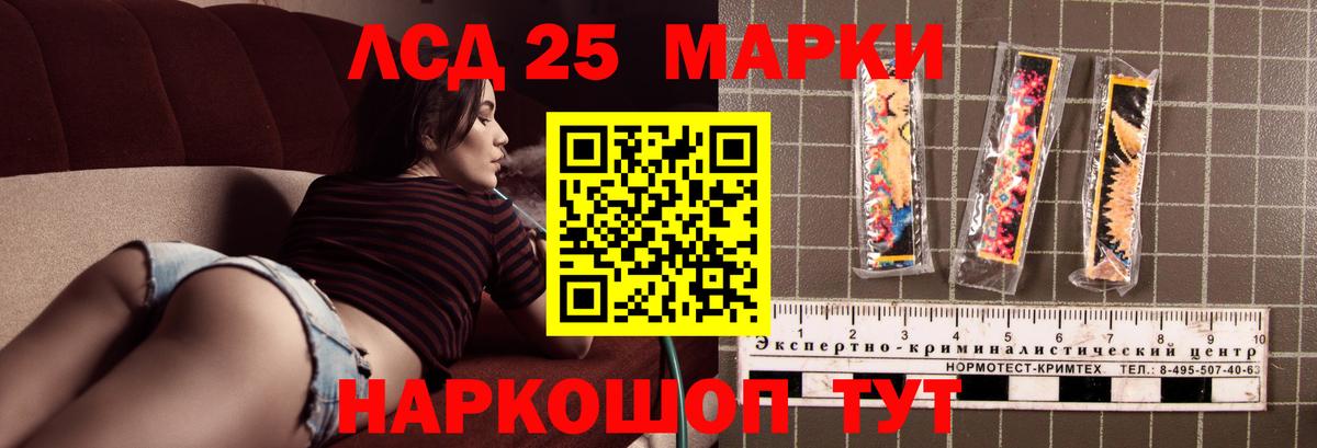 Галлюциногенные грибы Ирбит